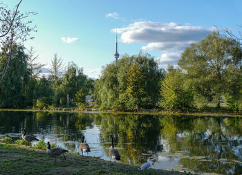 Scenic view of lake by trees against sky