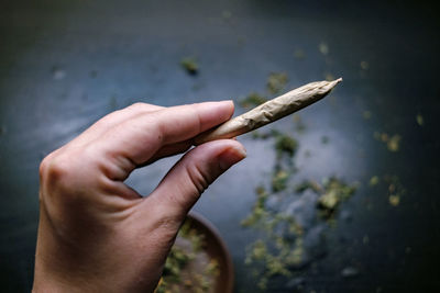 Close-up of hand holding cigarette