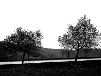 Trees on field against clear sky