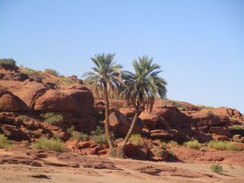 Scenic view of desert against clear sky