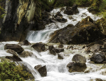 Scenic view of waterfall in forest