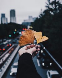 Close-up of person holding autumn leaf in city