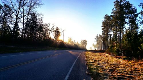 Empty road along trees