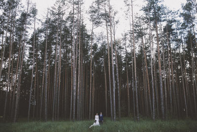 Couple standing on grassy field in forest