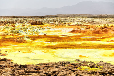 Scenic view of landscape