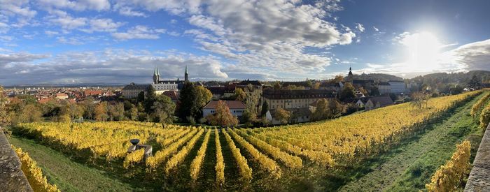 Panoramic shot of vineyard against sky with historical city in the background