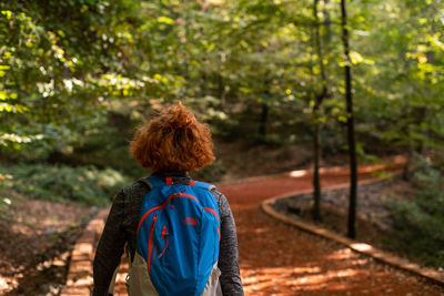 Rear view of man looking at forest