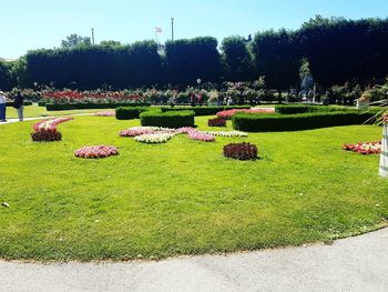 View of plants in garden