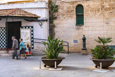 People standing by potted plants on street against building