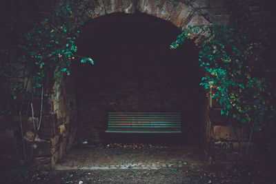 Rear view of man sitting on bench in park