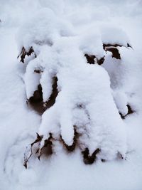 Snow covered field