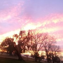 Bare trees against sky at sunset