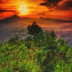 Scenic view of landscape against cloudy sky