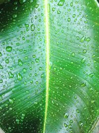 Full frame shot of wet glass