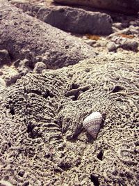 Pebbles on sandy beach