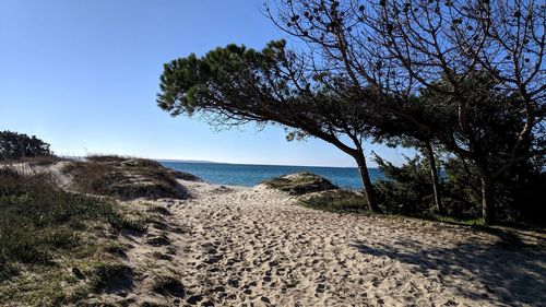 Scenic view of sea against clear sky