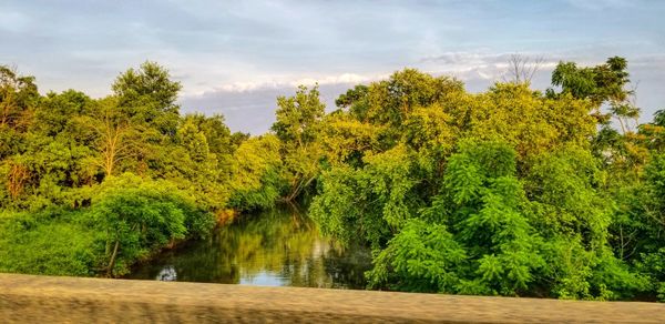 Scenic view of lake amidst trees in forest against sky