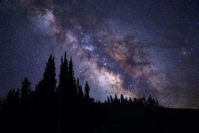 Low angle view of silhouette trees against star field at night