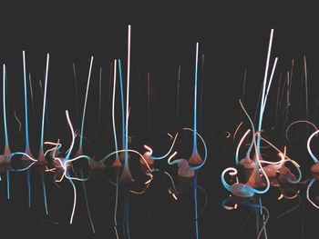 People in illuminated lights against black background