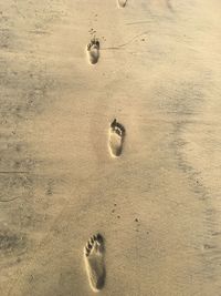 High angle view of footprints on sand