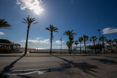 Palm trees against blue sky