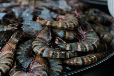 Close-up of fish for sale in market