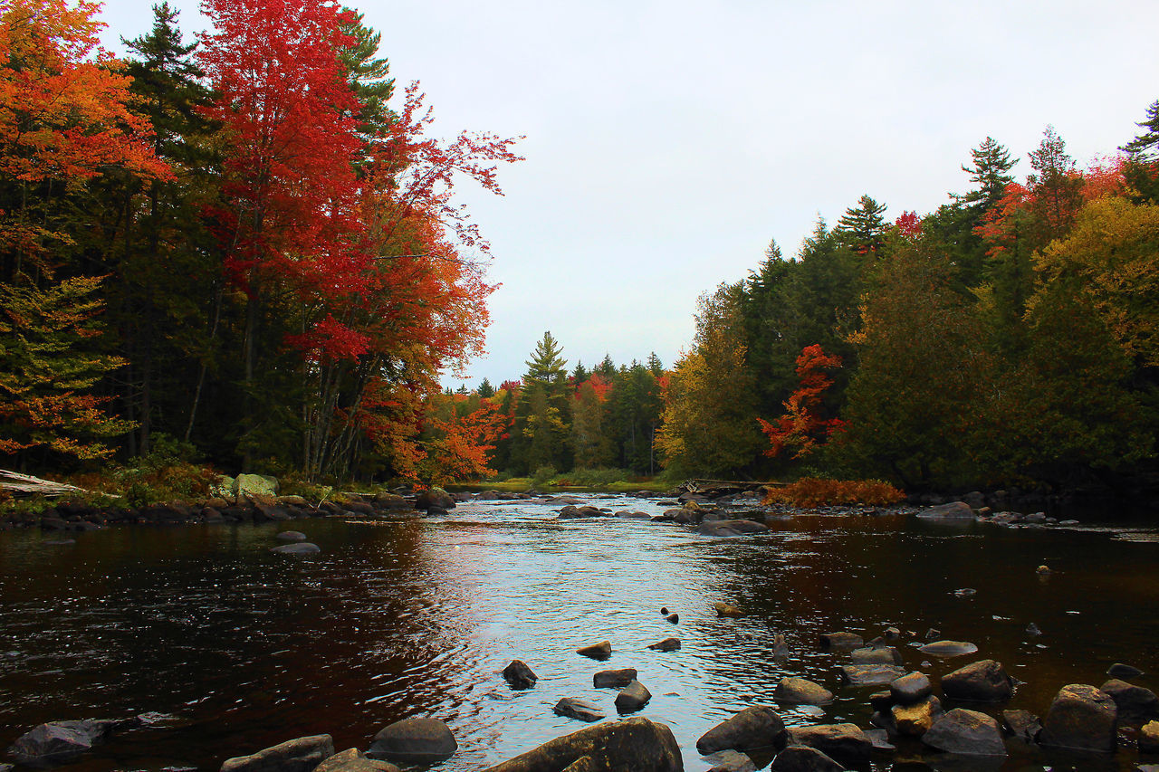 SCENIC VIEW OF LAKE AGAINST SKY DURING AUTUMN