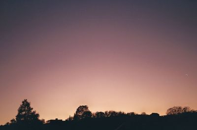 Silhouette trees against clear sky during sunset