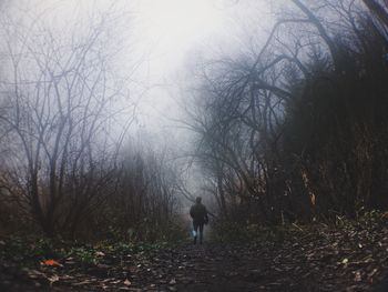 Rear view of man standing in forest