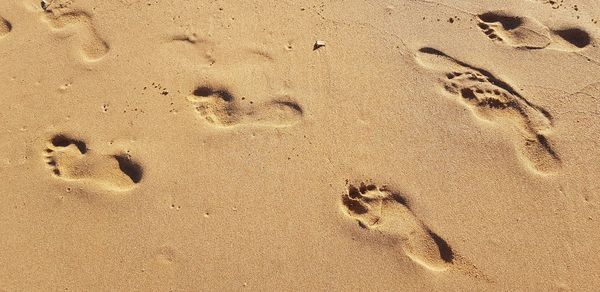 High angle view of footprints on sand