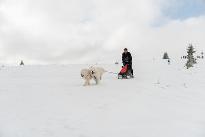 View of a dog on snow covered landscape