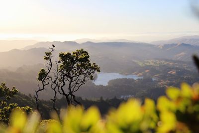 Scenic view of tree mountains against sky