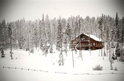 Scenic view of snow covered landscape