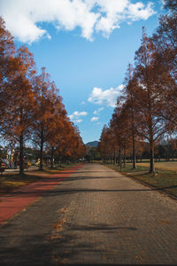 Empty road amidst trees against sky