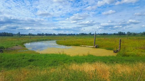 Scenic view of grassy field against cloudy sky