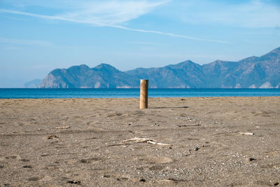 Wooden posts on beach against sky