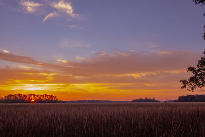 Scenic view of field against sky during sunset