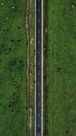 High angle view of road amidst field