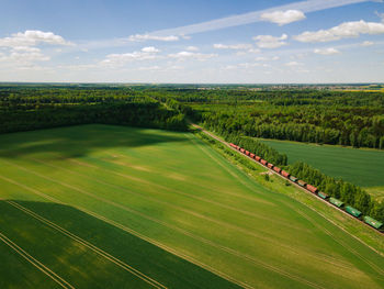 Freight train heading to the green forest in summer from above. fields and crops.