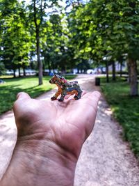 Hand holding plant against trees