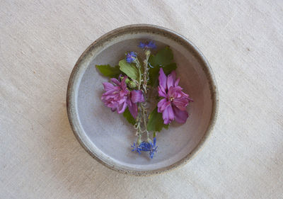 High angle view of purple flowers in bowl on table