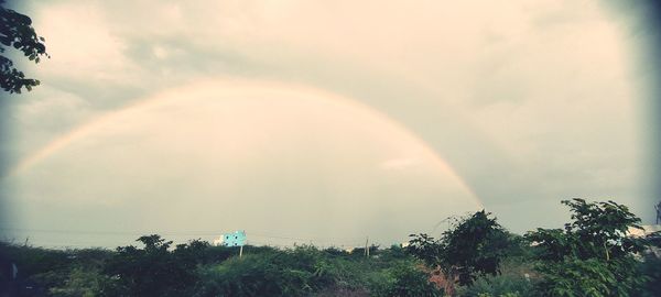 Rainbow over trees against sky