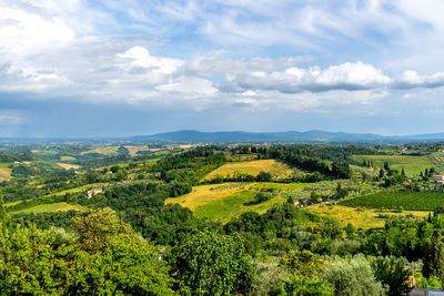 Scenic view of agricultural landscape against sky