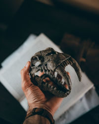 Close-up of hand holding seashell