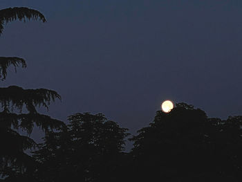 Low angle view of silhouette trees against sky at night