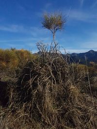 Scenic view of land against sky