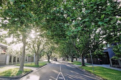 Road in city