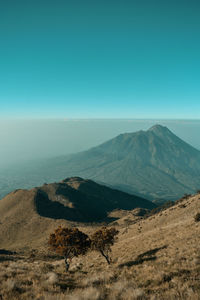 Merbabu mountain national park with view merapi mountain, indonesia