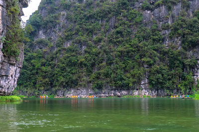 Scenic view of lake by trees in forest