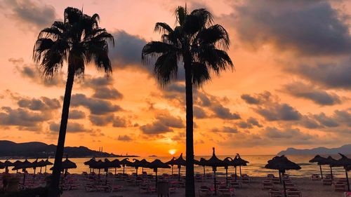 Silhouette palm trees against sky at beach during sunset